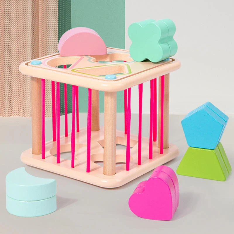 Educational Activity Cubes Wooden Blocks Box