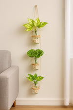 Wall Hanging Planter –  with Three Glass Jars